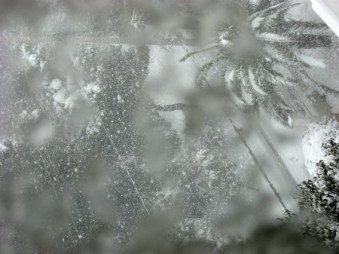 snowweb3.jpg
