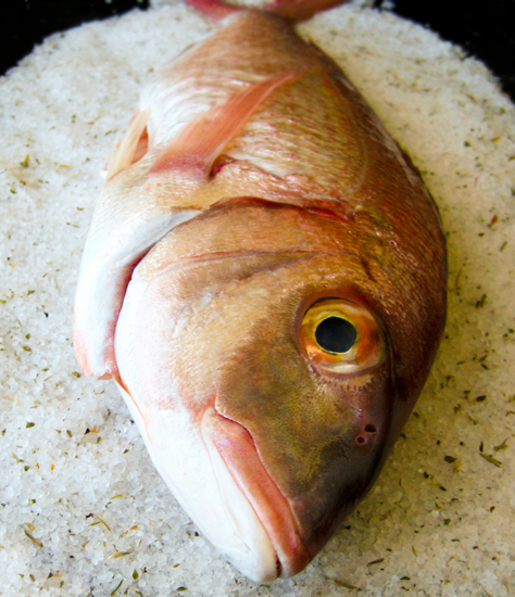 Fish baked in salt crust/ Ψάρι ψημ�νο σε κρούστα αλατιού