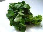 watercress-soup-001web