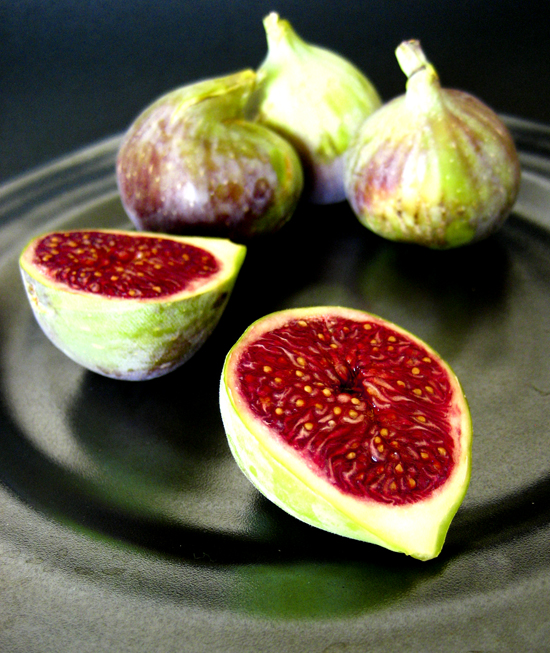 figs-2web