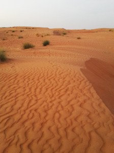 wahiba-sands-2