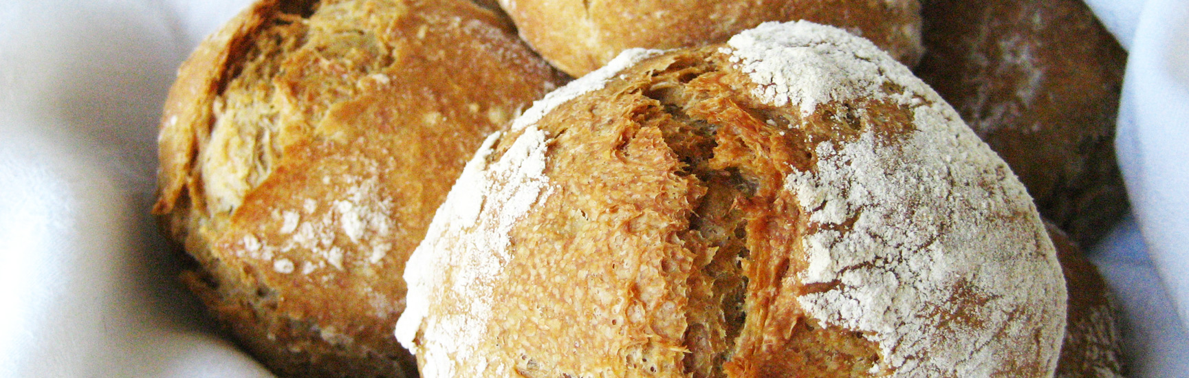 no-knead-bread-banner